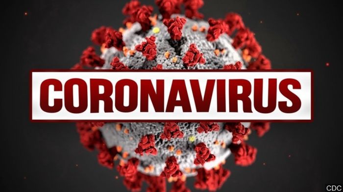 "Novel Coronavirus...